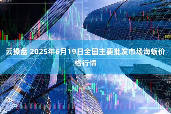 云操盘 2025年6月19日全国主要批发市场海蛎价格行情