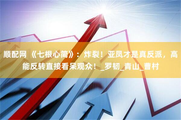 顺配网 《七根心简》：炸裂！亚凤才是真反派，高能反转直接看呆观众！_罗韧_青山_曹村