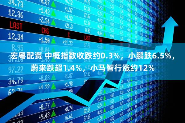 宏粤配资 中概指数收跌约0.3%，小鹏跌6.5%，蔚来跌超1.4%，小马智行涨约12%