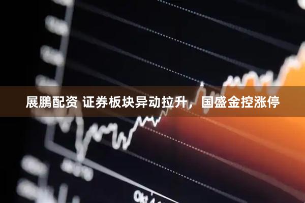 展鵬配资 证券板块异动拉升，国盛金控涨停