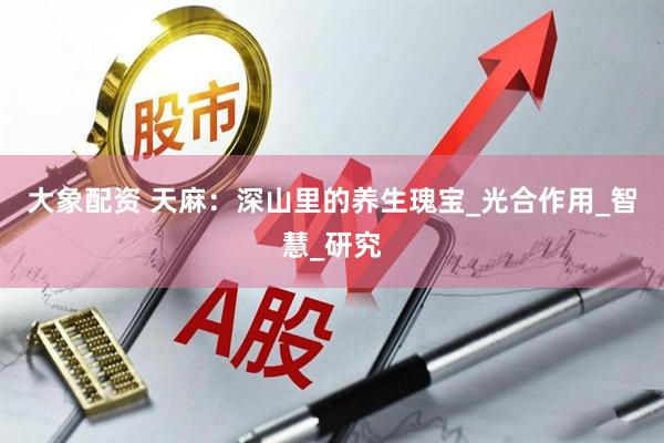 大象配资 天麻：深山里的养生瑰宝_光合作用_智慧_研究